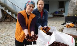 Kışın vazgeçilmez lezzetinin sofralara  yolculuğu başladı