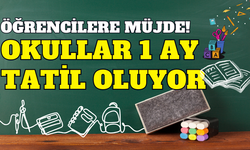 Öğrencilere müjde: Okullar 1 ay tatil oluyor