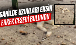 Sahilde başı ve bazı uzuvları olmayan ceset bulundu