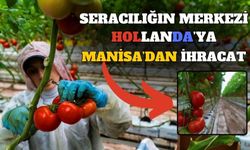 Manisa'dan Hollanda'ya domates ihracatı