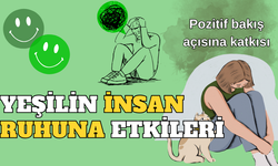 Yeşilin İnsan Ruhuna  Etkileri: Doğanın Renk Terapisi