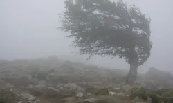 Meteorolojiden kuvvetli sağanak ve fırtına uyarısı