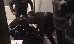 3 suç örgütü çökertildi...Tayyar Türkeş yurtdışına firar etti