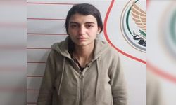 Türkiye'ye sızmaya çalışan PKK'lı kadın terörist yakalandı