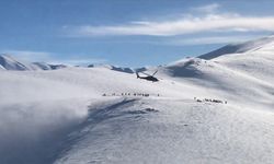 Bozdoğan-3 operasyonlarıyla mağara, sığınak ve barınma alanı imha edildi