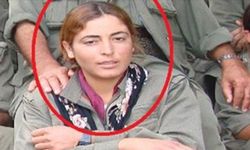 PKK'nın sözde sorumlusu etkisiz hale getirildi