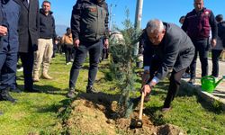 Alaşehir'de geleceğe nefes için fidanlar toprakla buluştu