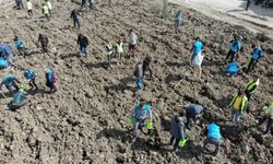 Manisa Denetimli Serbestlik Müdürlüğü'nden ağaçlandırma çalışmaları