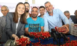 Gülşah Durbay, Şehzadeler'de kiraz festivali yapmayı hedefliyor!
