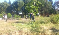 Yunusemre Belediyesi Park ve Bahçeler Müdürlüğü ekiplerinden yaz mesaisi