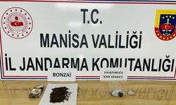 Manisa’da 10 gram bonzai ele geçirildi