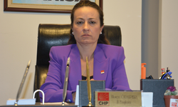 CHP'li Özalper Manisa'da işlenen 2 kadın cinayetine ilişkin konuştu