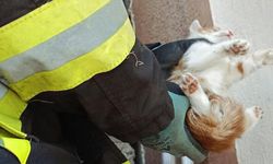 Manisa'da duvar arasına sıkışan kediyi itfaiye kurtardı