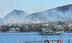 Bodrum'da 2 noktadaki yangın kontrol altına alındı