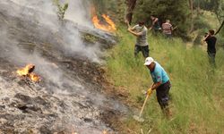 Denizli yangını 22 saatin ardından söndürüldü