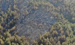 İzmir'de yangının çıktığı nokta bölge havadan görüntülendi