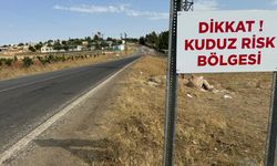 Kuduzdan bir mahallede daha karantinaya alındı