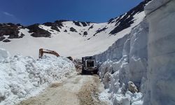 Hakkari'de yaz gününde kışı yaşıyorlar