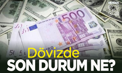 3  Ağustos Cumartesi  Güncel Döviz Fiyatları