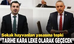 CHP Manisa Milletvekillerinden 'Sokak hayvanları' yasasına tepki