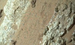 NASA'nın Perseverance aracı, Mars'ta eski yaşam izlerine dair kanıtlar buldu