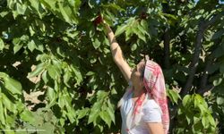 Bir annenin elli tonu, Kadınlara örnek bir hayat hikayesi