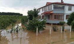 Samsun'da sağanak nedeniyle tarım arazileri su altında kaldı, iş yerlerini su bastı