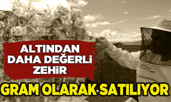 Altından daha değerli arı zehri üretti!