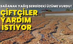 Sağanak yağış sergideki üzüme vurdu! Çiftçiler yardım istiyor