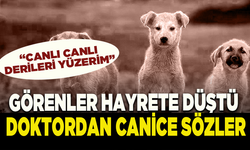 Doktordan tepki çeken sokak hayvanları yorumu! "Canlı canlı derilerini yüzerim"