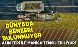 Alın teri ile Manisa temsil ediliyor! Dünyada benzeri bulunmuyor