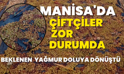 Manisa'da beklenen yağmur doluya dönüştü: Çiftçiler  zor durumda