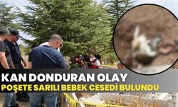 Kan donduran olay: Poşete sarılı bebek cesedi bulundu