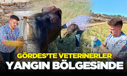 Veterinerler yangın bölgesindeki hayvanların yanında