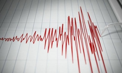 Bitlis'te 4.5 şiddetinde deprem!