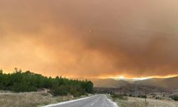 Bolu'daki orman yangını Eskişehir il sınırına yaklaştı