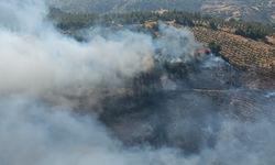 Hatay’da orman yangını