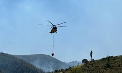 Manisa'nın ardından Uşak'taki yangın da kontrol altına alındı