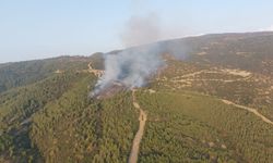 Nazilli'deki orman yangınında 3 hektar alan zarar gördü