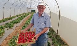 Hobi olarak başladı tonlarca üretiyor! "Kendi  fikrim ve düşüncem ile kurdum"