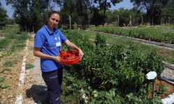 Türkiye’nin 81 iline ücretsiz dağıtılacak yerel tohum hazırlığı başladı