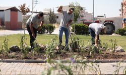 Akhisar’da Park ve Bahçelerde İlaçlama ve Bakım Çalışmaları Sürüyor