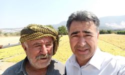 Özkaya, “Kuru Üzüm Konseyi Kurulmalı”