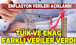 Yıllık enflasyon TÜİK'e göre yüzde 51,97, ENAG'a göre yüzde 90,35