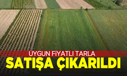 Köprübaşı’nda tarla satışa çıkarıldı