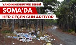 Soma'da orman kirliliği artıyor