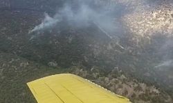 Manisa'daki orman yangınına müdahale devam ediyor