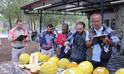 Kırkağaç’ın en iyi kavunları ödüllerine kavuştu