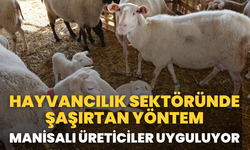 Hayvancılık sektöründe şaşırtan yöntem