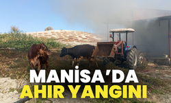 Manisa'da ahır  yangını